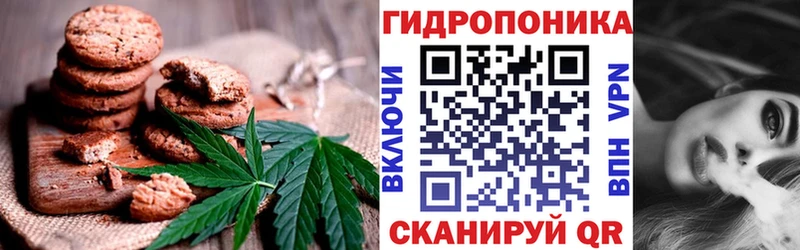 Canna-Cookies конопля  закладка  Йошкар-Ола 