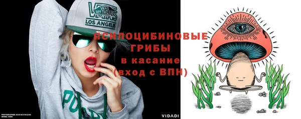 дживик Козельск