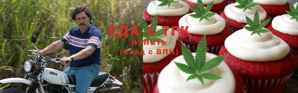 дживик Козельск