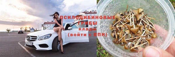 дживик Козельск