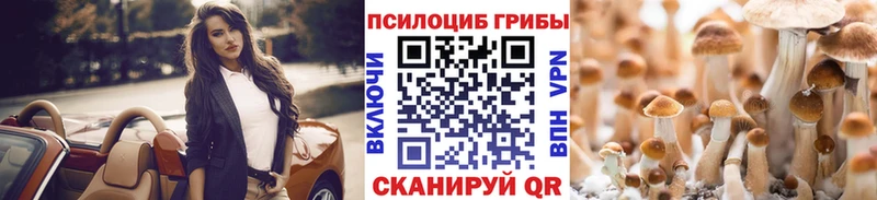 Псилоцибиновые грибы Psilocybine cubensis  наркотики  Йошкар-Ола 